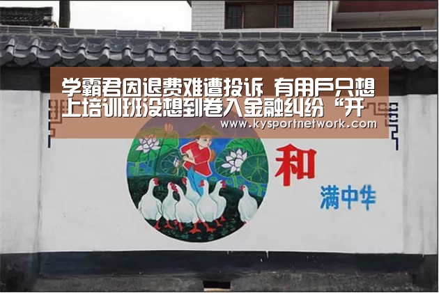 开云体育入口