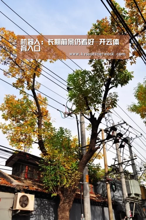 机器人:长期前景仍看好-开云体育入口(图2) KAIYUN中国站