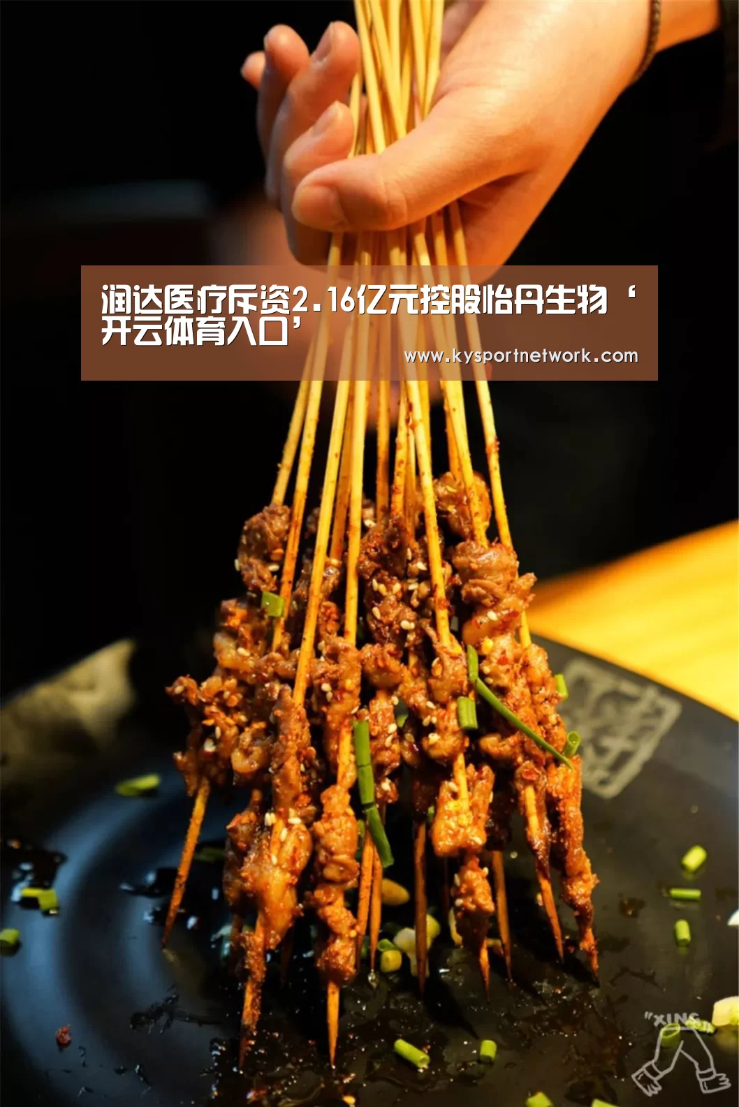 润达医疗斥资2.16亿元控股怡丹生物‘开云体育入口’(图1) 开云平台