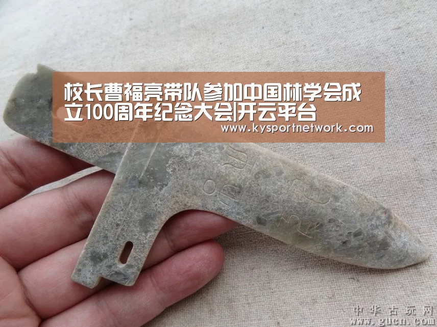 开云体育数据中心