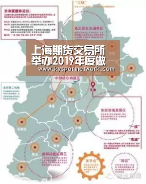 上海期货交易所举办2019年度做市商表彰会:开云平台(图4) 开云平台