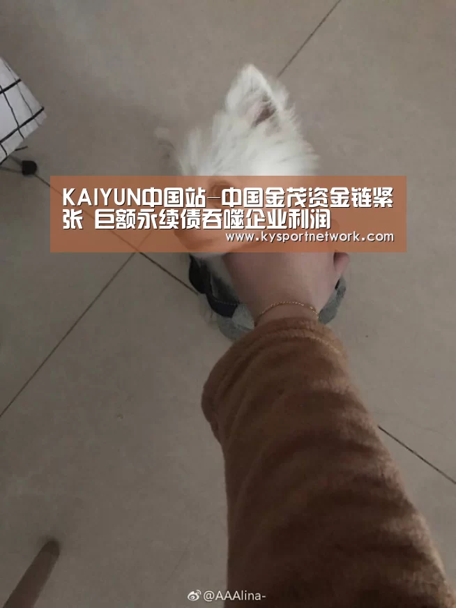 开云平台