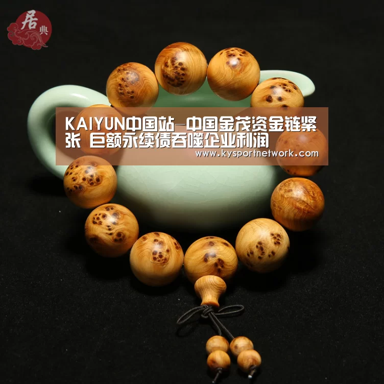开云体育入口