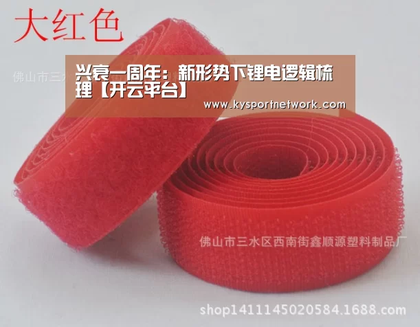 兴衰一周年:新形势下锂电逻辑梳理【开云平台】(图4) 开云平台