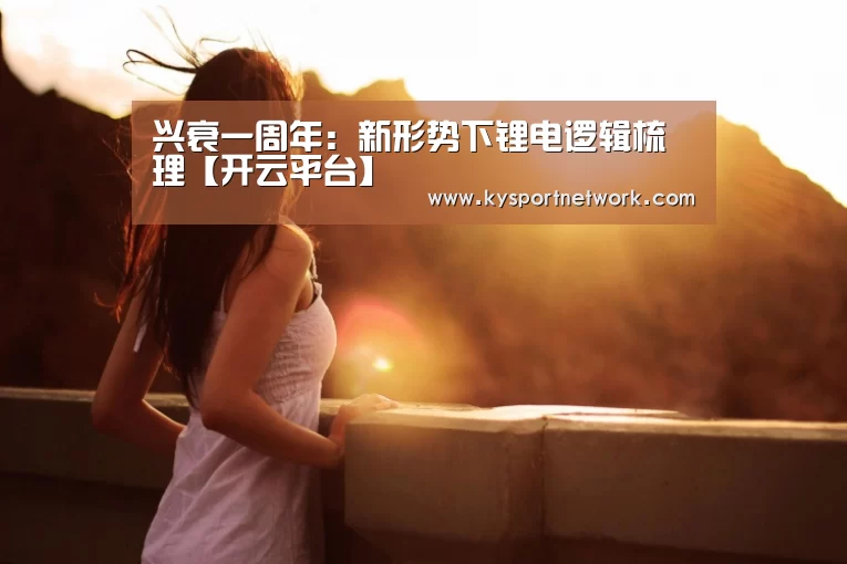 兴衰一周年:新形势下锂电逻辑梳理【开云平台】(图3) 开云平台