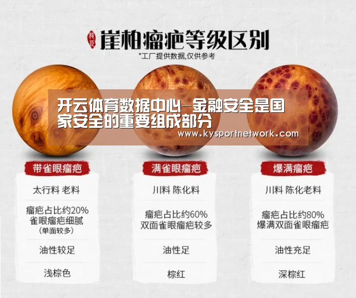 开云体育数据中心-金融安全是国家安全的重要组成部分(图2) KAIYUN中国站