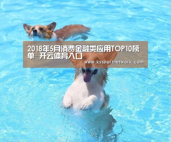 2018年5月消费金融类应用TOP10榜单-开云体育入口(图2) 开云体育入口
