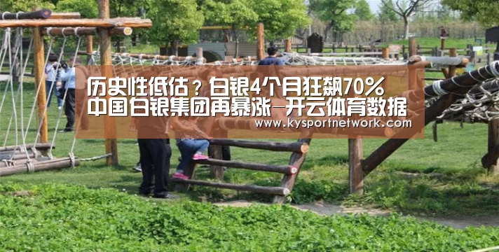 KAIYUN中国站