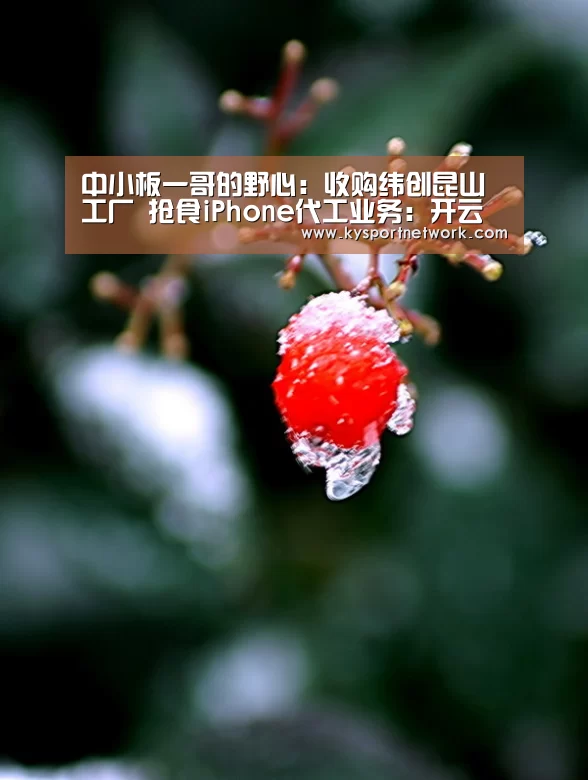中小板一哥的野心:收购纬创昆山工厂 抢食iPhone代工业务:开云体育数据中心(图3) 开云体育数据中心