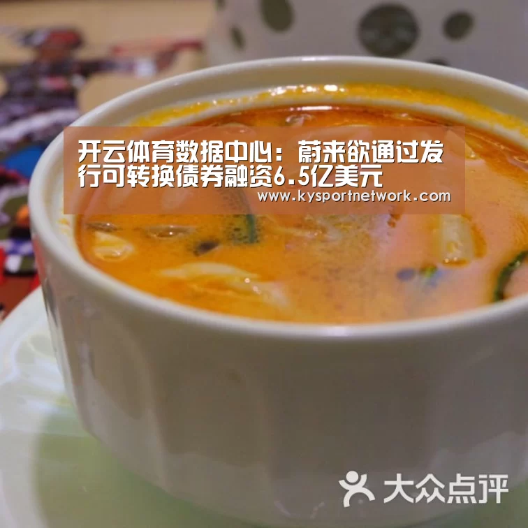 开云体育数据中心:蔚来欲通过发行可转换债券融资6.5亿美元(图2) 开云体育入口